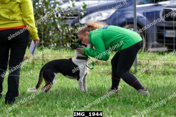 IMG_1944.jpg