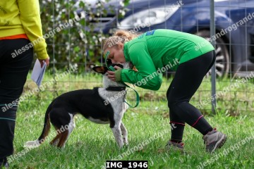 IMG_1946.jpg