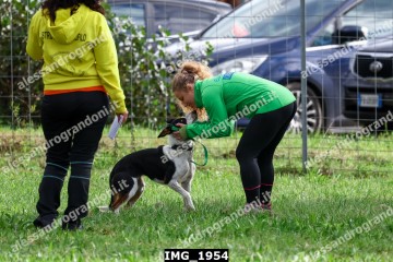 IMG_1954.jpg