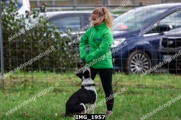 IMG_1957.jpg