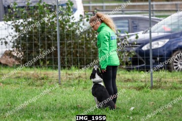 IMG_1959.jpg