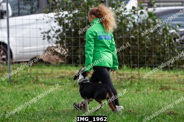 IMG_1962.jpg