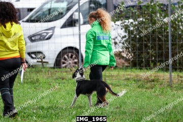 IMG_1965.jpg
