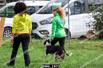 IMG_1972.jpg