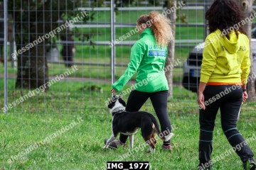 IMG_1977.jpg