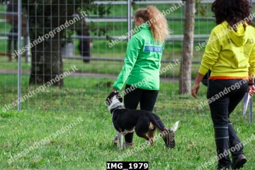 IMG_1979.jpg