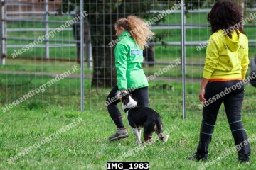 IMG_1983.jpg