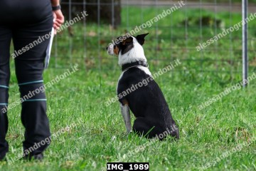 IMG_1989.jpg