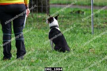 IMG_1994.jpg