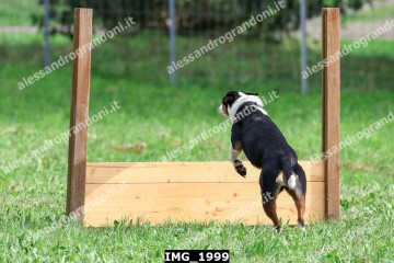 IMG_1999.jpg