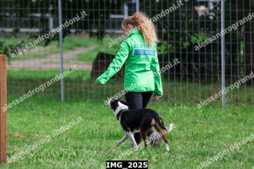 IMG_2025.jpg