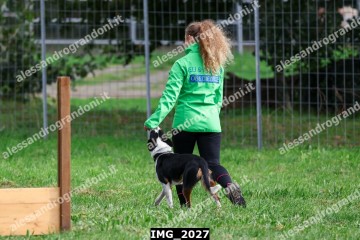 IMG_2027.jpg