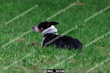 IMG_2038.jpg