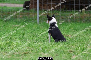 IMG_2127.jpg