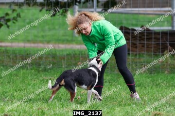 IMG_2137.jpg