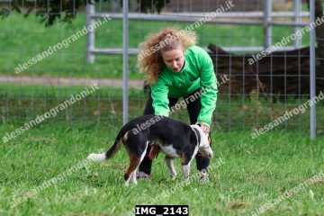 IMG_2143.jpg