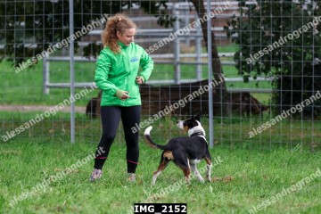 IMG_2152.jpg