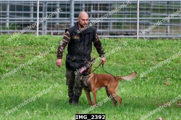 IMG_2392.jpg