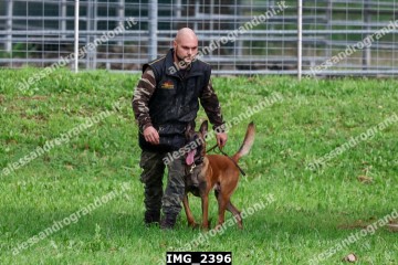 IMG_2396.jpg