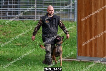 IMG_2407.jpg