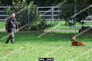 IMG_2681.jpg