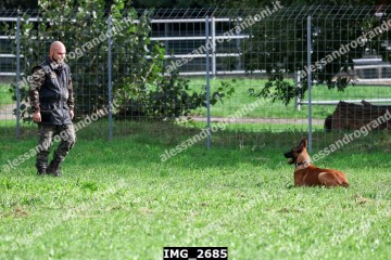 IMG_2685.jpg