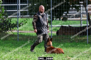 IMG_2689.jpg