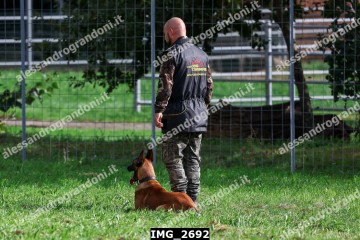 IMG_2692.jpg