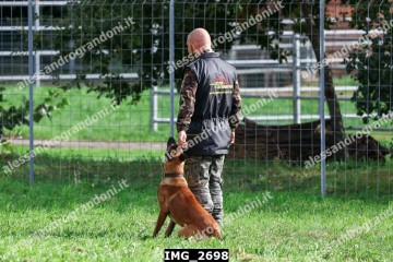 IMG_2698.jpg