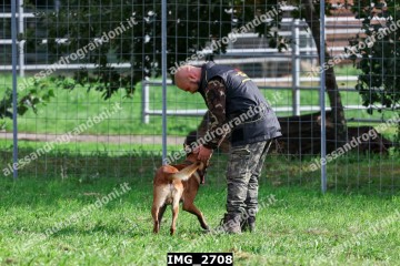 IMG_2708.jpg