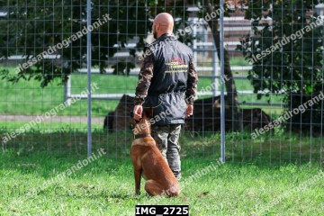 IMG_2725.jpg