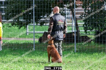 IMG_2729.jpg