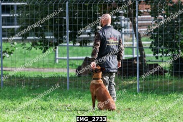 IMG_2733.jpg