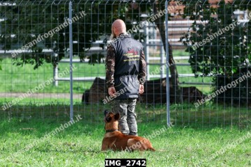IMG_2742.jpg