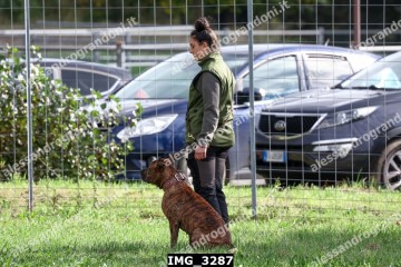 IMG_3287.jpg