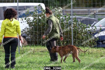 IMG_3290.jpg