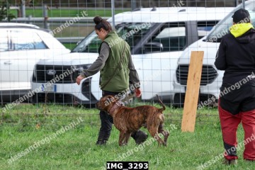 IMG_3293.jpg