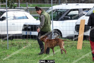 IMG_3297.jpg