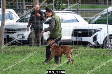 IMG_3306.jpg