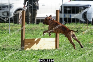 IMG_3326.jpg
