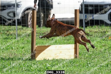IMG_3328.jpg