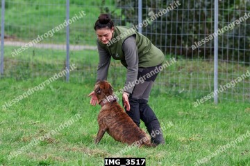 IMG_3517.jpg