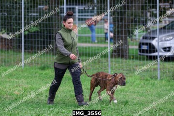 IMG_3556.jpg