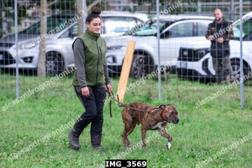 IMG_3569.jpg