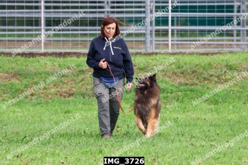 IMG_3726.jpg