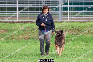 IMG_3729.jpg
