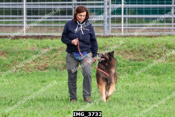 IMG_3732.jpg