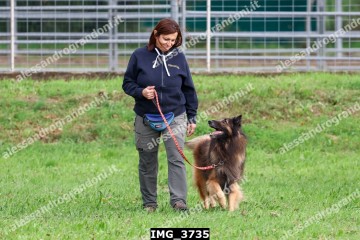 IMG_3735.jpg