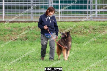 IMG_3738.jpg