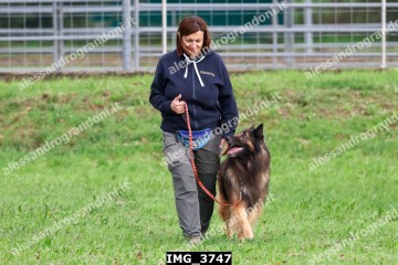 IMG_3747.jpg